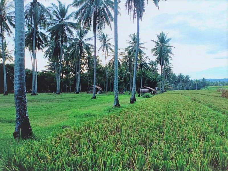 FLTabanan42  |  Indo Investments